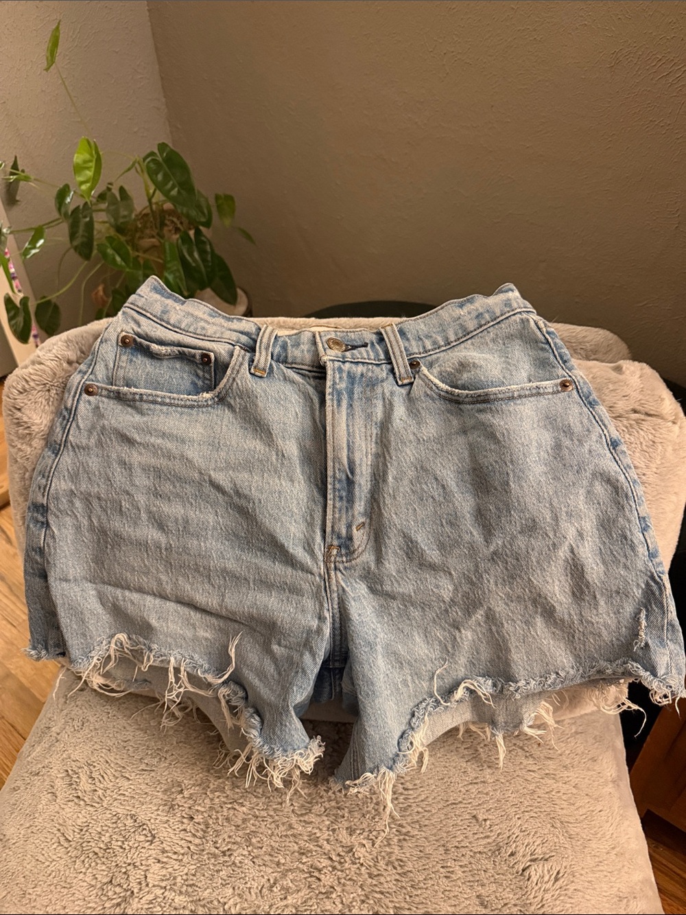 Abercrombie & Fitch Light Blue Denim Cutoff Shorts
